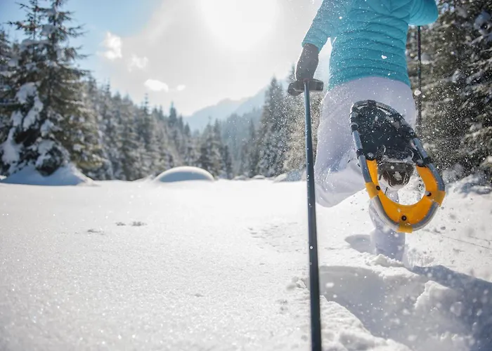 Kesselgrubs Wohlfühlappartements Apartamento Eben Im Pongau